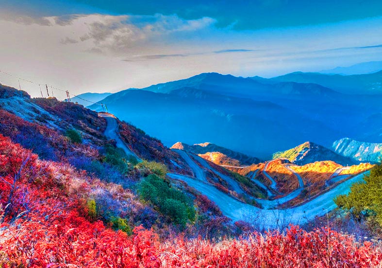 Zuluk